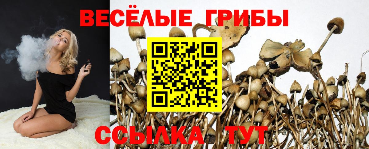 Галлюциногенные грибы прущие грибы  Вход с VPN  Псилоцибиновые грибы GOLDEN TEACHER  Минусинск 