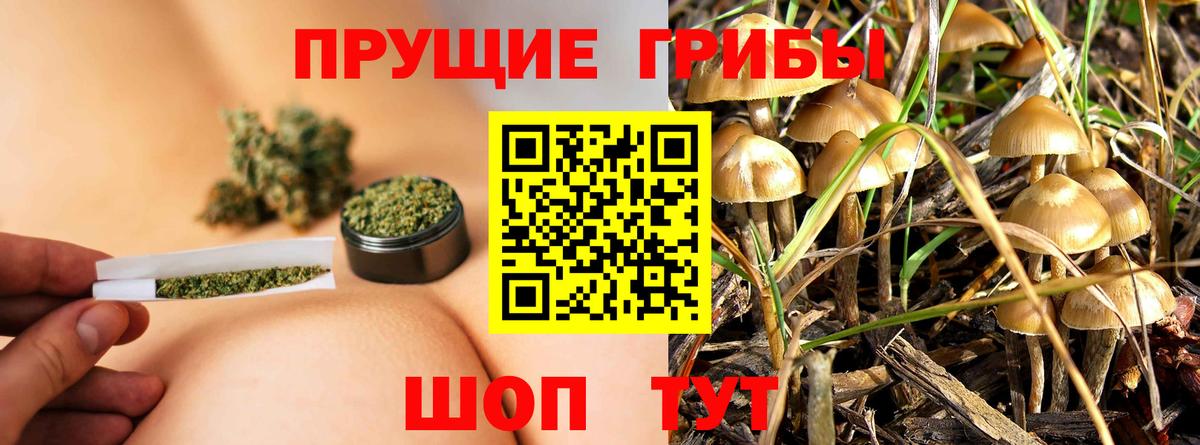 А ПВП Минусинск