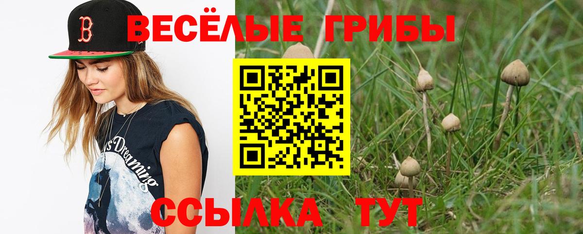 Псилоцибиновые грибы мухоморы Минусинск